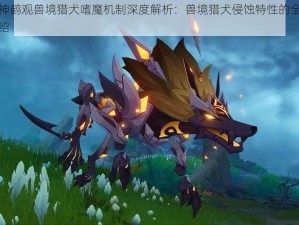 原神鹤观兽境猎犬嗜魔机制深度解析：兽境猎犬侵蚀特性的全面介绍