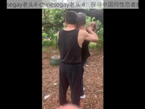 chinesegay老头4-chinesegay老头 4：探寻中国同性恋者的故事