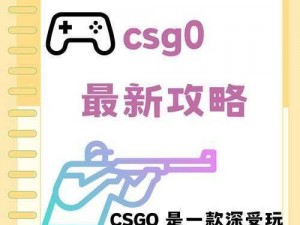 暴躁老阿姨 CSGO 最新集：教你快速提升游戏水平的神器