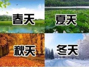 四季在线观看免费资源，无广告弹窗，精彩内容不断