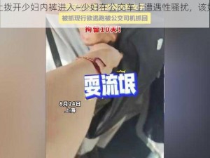 公交车上拨开少妇内裤进入—少妇在公交车上遭遇性骚扰，该如何保护自己？