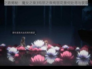 探索之路揭秘：魔女之泉3玛丽之泉绚丽花景何处寻与获取攻略