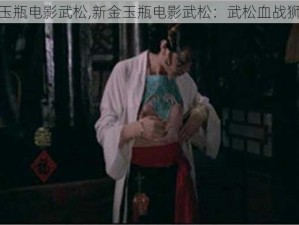 新金玉瓶电影武松,新金玉瓶电影武松：武松血战狮子楼