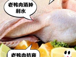 三年老鹅的神奇功效：滋养身体、促进健康，不可忽视的养生佳品