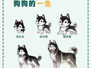 萌犬大变身：揭秘一转流程，变身过程全解析