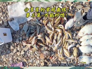 捕龙虾最佳诱饵揭秘：天然饵料与智能陷阱的完美结合