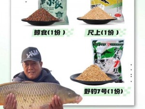 野钓之秘：钓获鲤鱼的最强饵料及其诱人策略揭秘