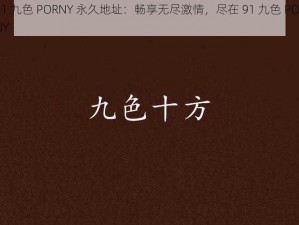 91 九色 PORNY 永久地址：畅享无尽激情，尽在 91 九色 PORNY