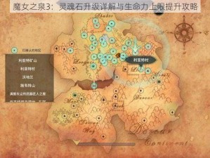 魔女之泉3：灵魂石升级详解与生命力上限提升攻略