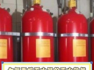 灭火阿姨法国满天星——高效环保的灭火产品