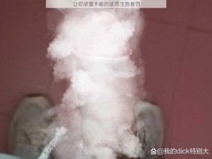 让你欲罢不能的惩罚玉势姜罚