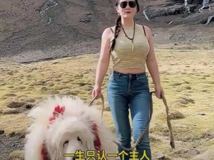 丰满女人与藏獒伦：真的假的？