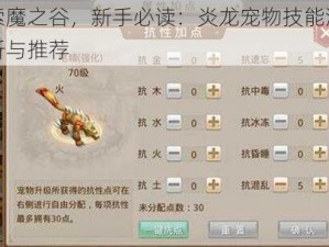 探索魔之谷，新手必读：炎龙宠物技能深度解析与推荐