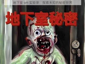 地下室 sm 实验录：探索未知的秘密世界