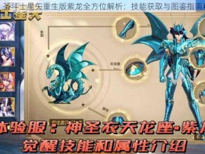 圣斗士星矢重生版紫龙全方位解析：技能获取与图鉴指南