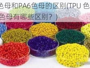 TPU色母和PA6色母的区别(TPU 色母和 PA6 色母有哪些区别？)