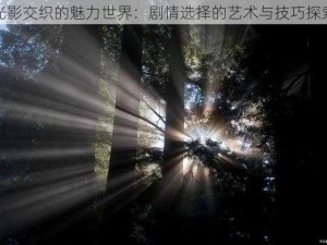 光影交织的魅力世界：剧情选择的艺术与技巧探索