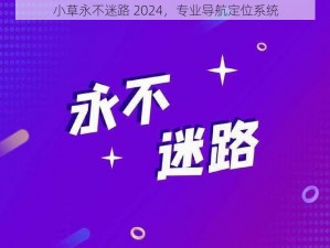 小草永不迷路 2024，专业导航定位系统