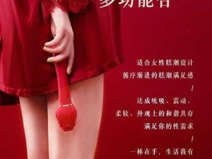 东北女人啪啪 XX 对白：女性情趣用品，让你体验前所未有的快感