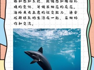 探索海洋魅力：海豚模拟器乐趣体验与深度简介