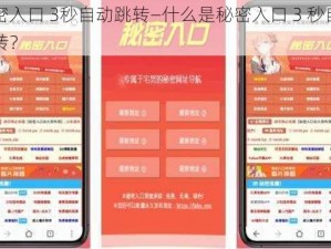 秘密入口 3秒自动跳转—什么是秘密入口 3 秒自动跳转？