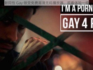 最新同性 Gay 做受免费高清无码播放器，观看体验一级棒