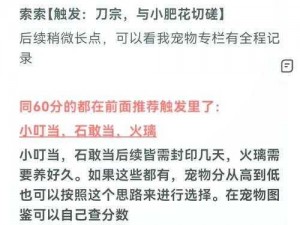 剑网3碰瓷玩法攻略：探索实战技巧，体验全新游戏乐趣