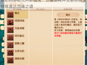 梦幻西游乾元丹新指南：详解消耗开支助你炼道修炼直达顶峰之道