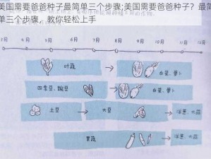 美国需要爸爸种子最简单三个步骤;美国需要爸爸种子？最简单三个步骤，教你轻松上手