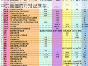 梦幻西游手游攻宠内丹选择指南：攻略实战中的最佳内丹搭配推荐