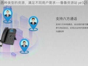 提供各种类型的资源，满足不同用户需求——鲁鲁资源站 ye321com