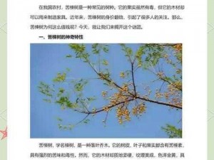 木苦依五木：探寻生态和谐之美，领悟自然木韵之道