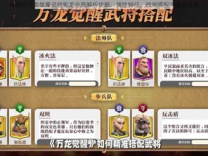 神曲符文英雄魔灵暗影龙全面解析攻略：属性特征、技能搭配与实战应用