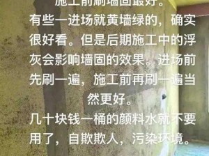 冰原守卫者墙体的维护与修复：应对损坏墙壁的修补方案探究