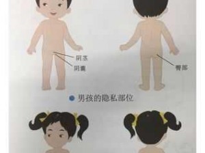 美女隐私部分软件：保护个人隐私的实用工具