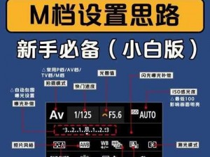 新手 s 调 m 指南：从入门到精通