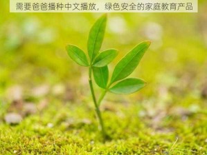 需要爸爸播种中文播放，绿色安全的家庭教育产品