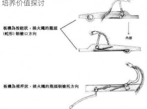 刀塔传奇火枪英雄解析：火枪技能加点指南与培养价值探讨