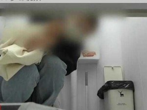 男子潜入女厕所偷拍半年，被抓时已偷拍 1000 多部视频