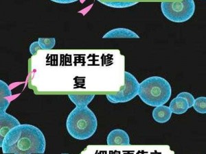 重生细胞技术揭秘：细胞再生新疗法与细胞挠痒痒用法解析