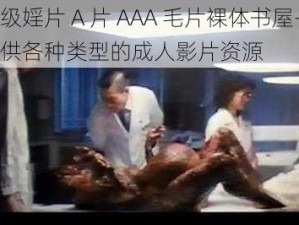 一级婬片 A 片 AAA 毛片裸体书屋——提供各种类型的成人影片资源