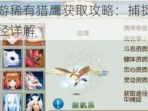 诛仙手游稀有猎鹰获取攻略：捕捉方法及获得途径详解