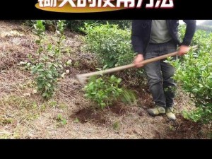 自动锄头制作工艺全解析：从设计到实践的详细教程视频