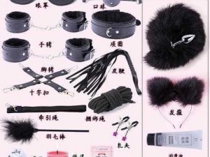 bdsm 受虐狂折磨调教是什么产品？