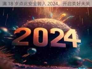 满 18 岁点此安全转入 2024，开启美好未来