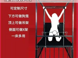 亚洲 BDSM 女犯 BDSM 网站——体验独特性爱的极致网站