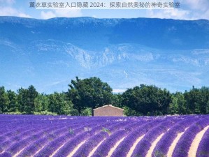 薰衣草实验室入口隐藏 2024：探索自然奥秘的神奇实验室