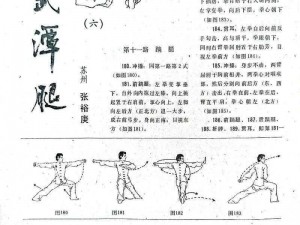 《君子堂逍遥腿法：武道巅峰的徒手武学秘籍》