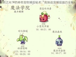 黎明之光下的神奇宠物捕捉秘术：高端战宠捕捉技巧全解析