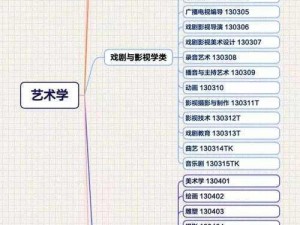 13艺术学包括哪些专业_13 艺术学包括哪些专业？